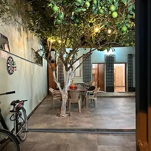 https://hostel-lemon-breeze.hotels-in-tirana.com